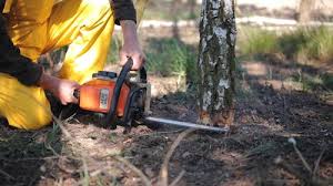 Lawn Grading and Leveling in Wyoming, OH